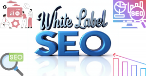 Softtrix Multiplies Client ROI with New 2025 Strategy Merging White Label SEO and  PPC Services