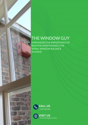 the window guy