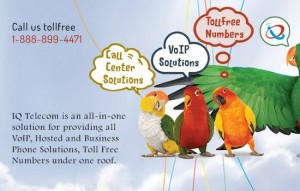 Best IVR software