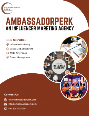 AmbassadorPerk Marketing Agency