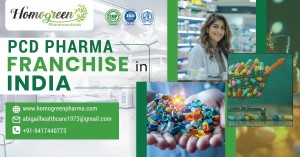 Top PCD Pharma Franchise