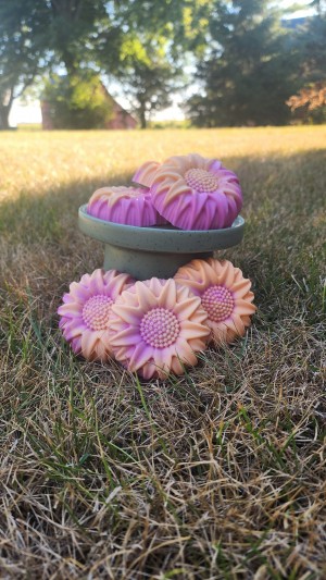 Newberry Farm’s donkey milk soap