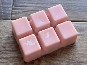 Toasted Bar’s hand poured soy wax melt
