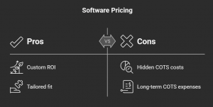 Custom Software Development Guide in 2025