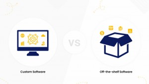 Custom Software Development Guide in 2025