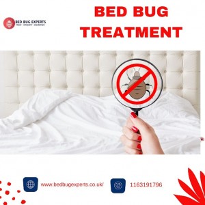 Bed Bug infestation treatment