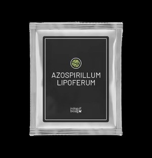 Image empty state 12