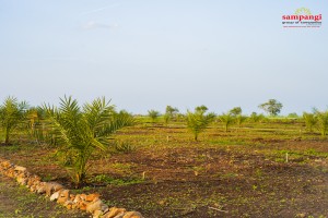 Sampangi Groups Site Images  2