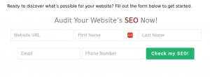 Check your SEO for FREE Instantly