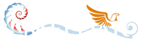 Meedar Logo