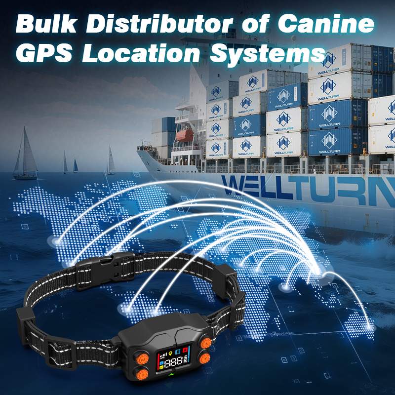 Wellturn Revolutionizes Invisible Dog Fences with Radar Tech