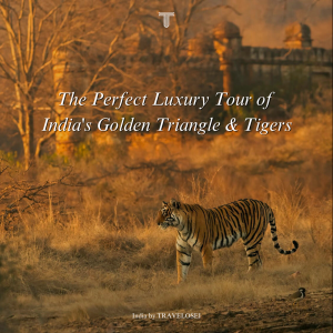 Travelosei Ushers in a New Era of Ultra-Luxury Travel for  Explorers in India