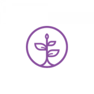 The Personal Development School