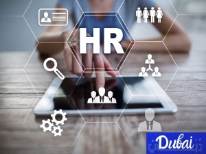 Buy Dubai HR Email Database