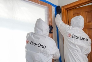 6504861 1703237207 04 Copy