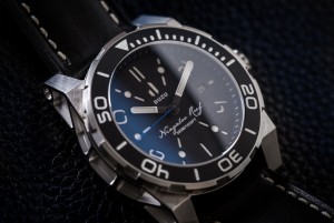 Stainless steel case detail