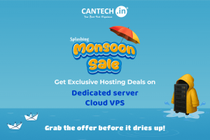 Monsoon sale