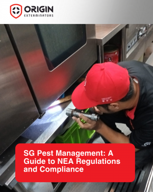 sg pest management | NEA Guidelines | Contact Today