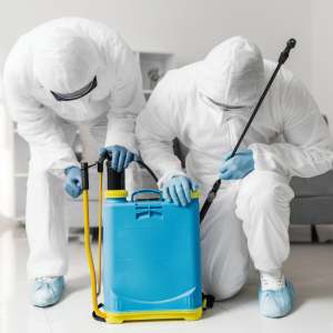 Rodent Control Dayton Ohio