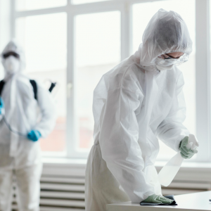 Trusted Termite Control in Dayton