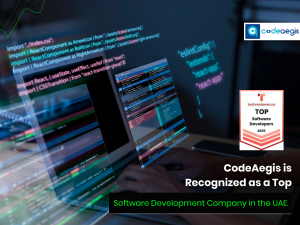 CodeAegis Pvt Ltd