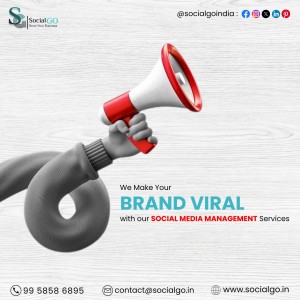 SocialGo Marketing Agency in Delhi