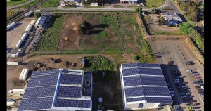 Australian Lamb Colac solar installation