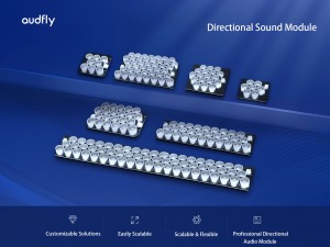 Audfly’s Plug-and-Play Directional Audio Modules Drive Faster Deployment Across Kiosks and Smart Terminals