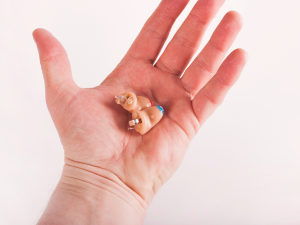 Paradise Hearing Press Release for httpswww issuewire com