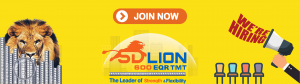 SD LION TMT BAR