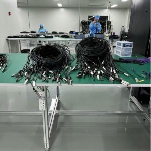 DAC (Direct Attached Cables)