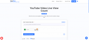 video view live count by tubepilot