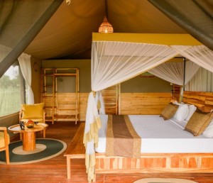 Mid range budget safari deals