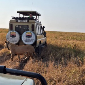 Tanzania safari booking 4 x 4 safari jeep