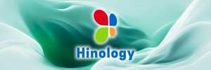 Hinology