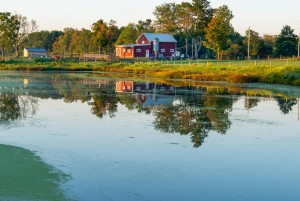 Holiday Let - Farm - Poland