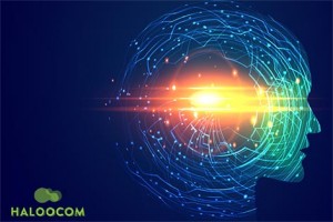 Haloocom Mobility & AI Powered NLP Bots Will Change The Future Of Communication Landscape