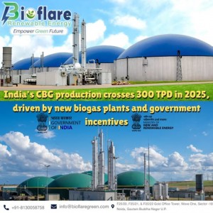Bioflare Renewable Energy Private Limited