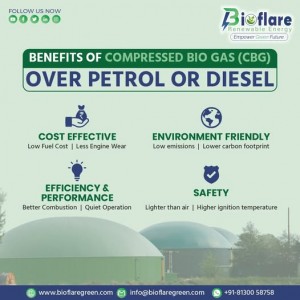 Bioflare Renewable Energy Private Limited