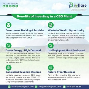 Bioflare Renewable Energy