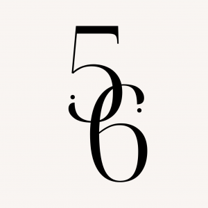 56 Executive Search Launches to Redefine High-Level Hiring with Precision and Discretion