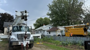 Tree Sixty Tree Service