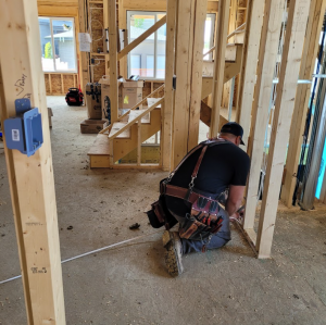 Electrician red deer