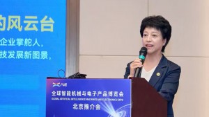 Liu Ying, secretary-general of AIE organizing committee