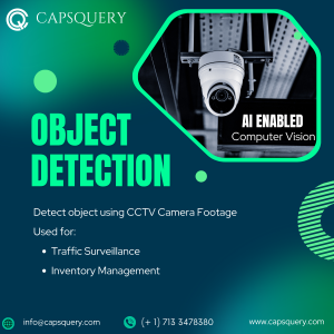 Capsquery Object Detection