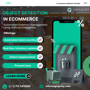 Object Detection in Ecommerce