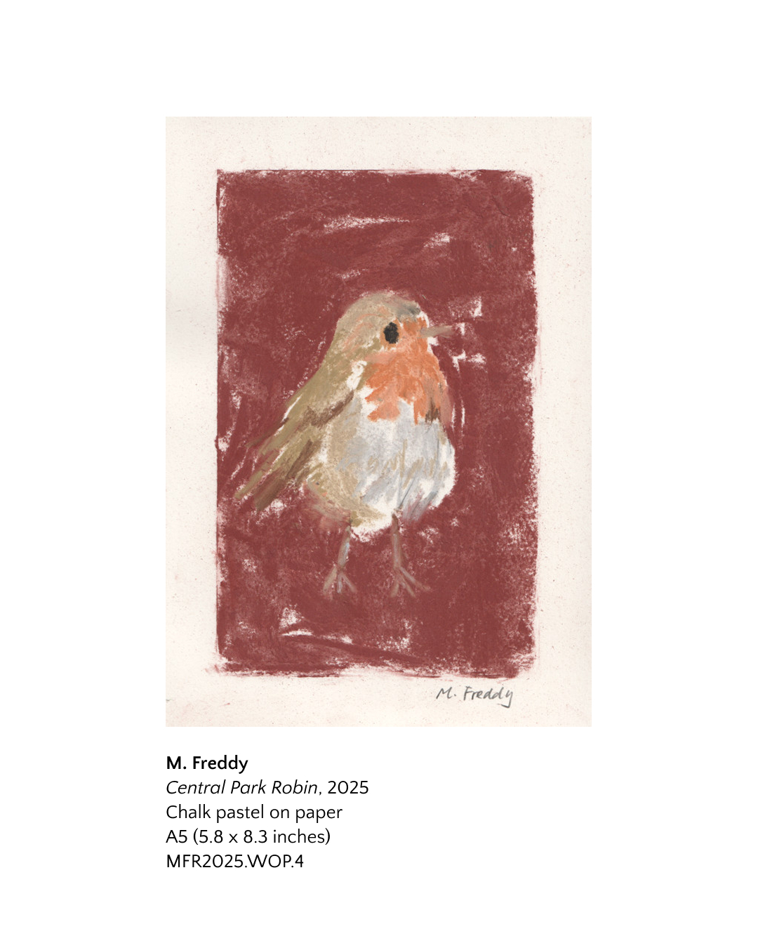Central Park Robin by M Freddy