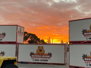 449233803 807663438183671 749464041851024117 n