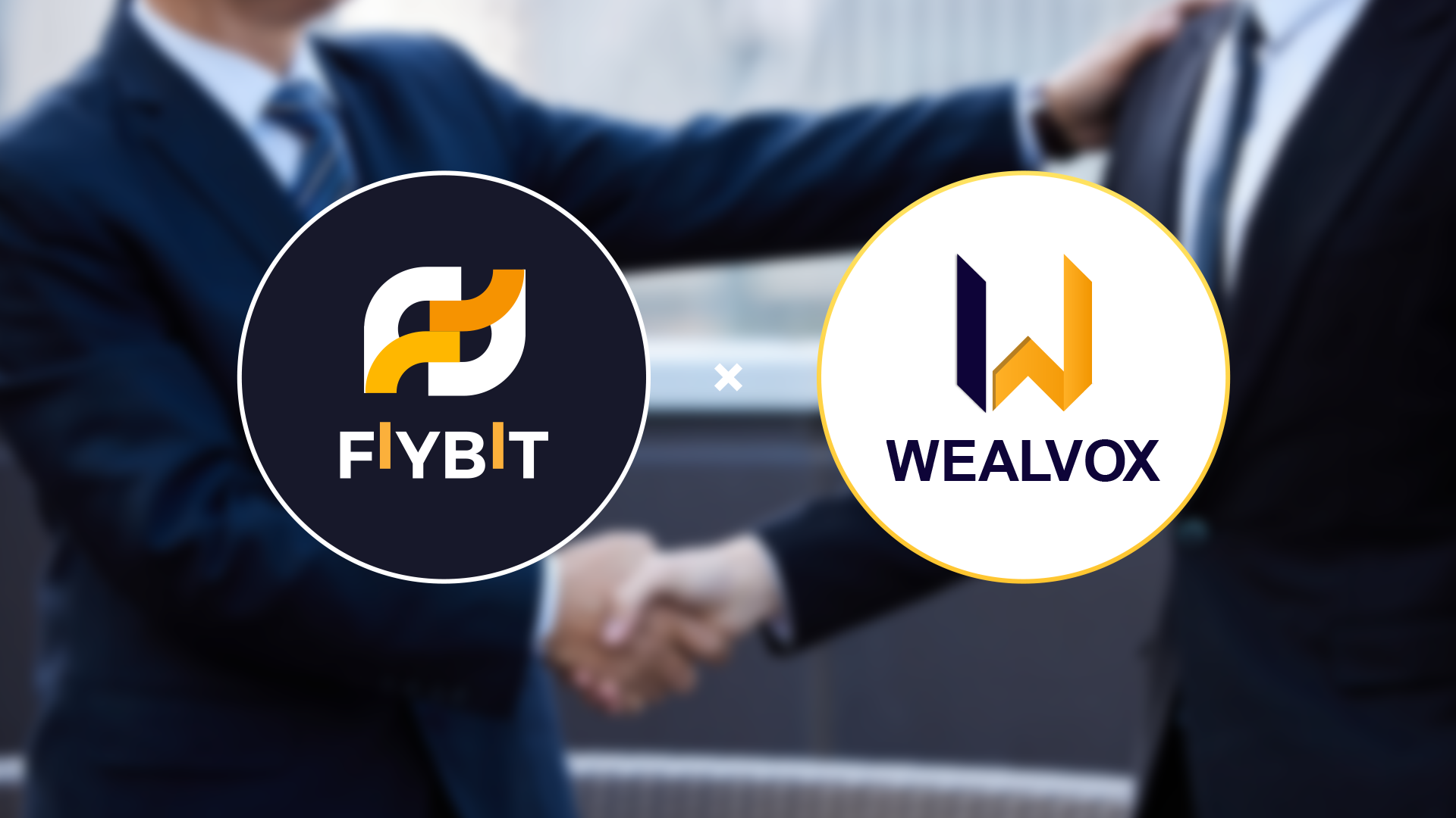 fiybit wealvox 2 fiybit wealvox 2