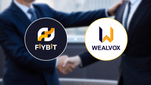 fiybit wealvox 2